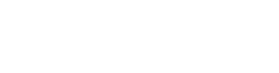 netvisor